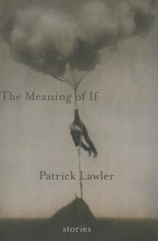 Könyv Meaning of If Patrick Lawler