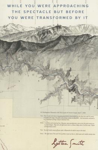 Carte While You Were Approaching the Spectacle But Before You Were Transformed by It Lytton Smith