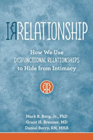 Knjiga Irrelationship Daniel Berry