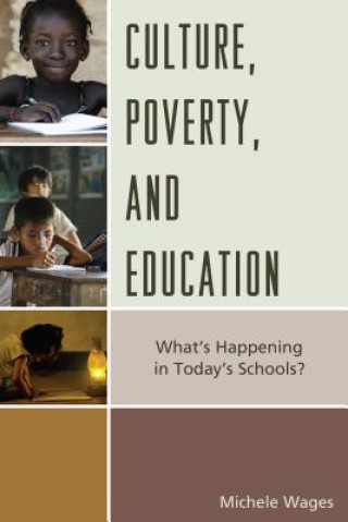 Книга Culture, Poverty, and Education Michele Wages