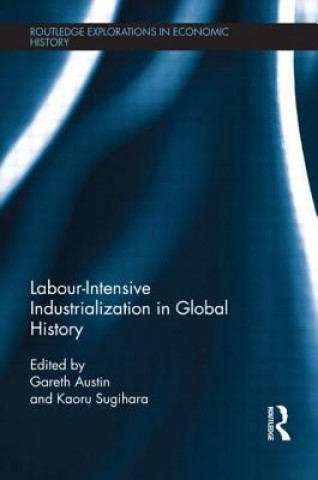 Kniha Labour-Intensive Industrialization in Global History Gareth Austin