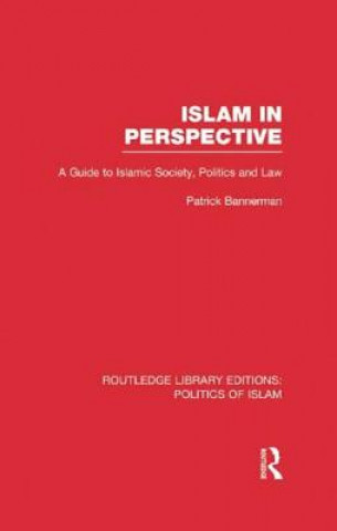 Boek Islam in Perspective (RLE Politics of Islam) Patrick Bannerman