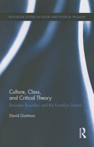 Könyv Culture, Class, and Critical Theory David Gartman