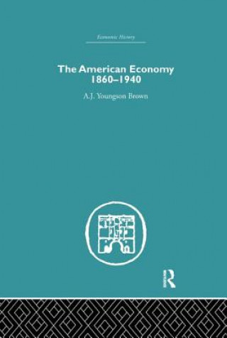 Könyv American Economy 1860-1940 A. J. Youngson Brown