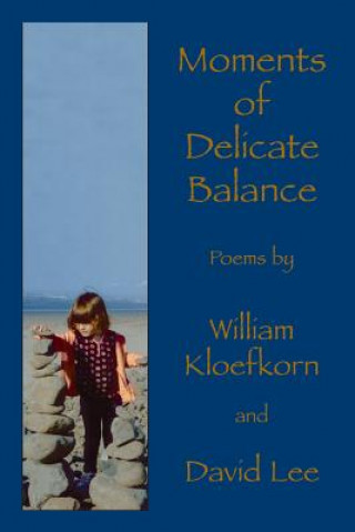 Kniha Moments of Delicate Balance David Lee