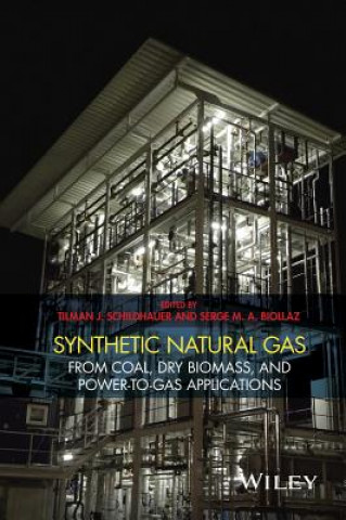 Carte Synthetic Natural Gas T. J. Schildhauer