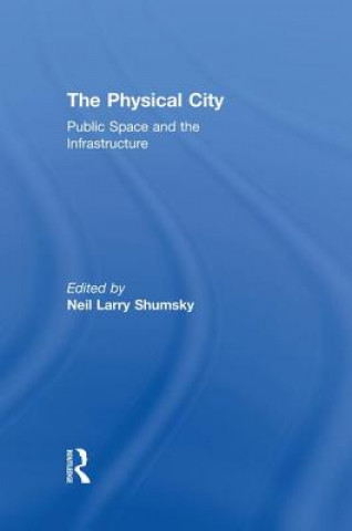 Kniha Physical City Neil L. Shumsky