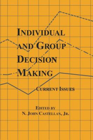 Buch Individual and Group Decision Making N. John Castellan