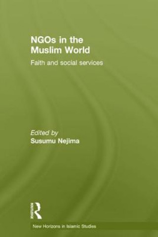 Könyv NGOs in the Muslim World 