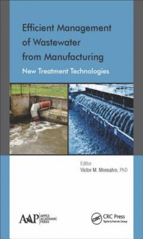 Libro Efficient Management of Wastewater from Manufacturing 