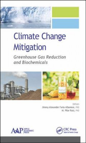 Knjiga Climate Change Mitigation Jimmy Alexander Faria Albanese