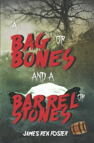 Kniha Bag of Bones and a Barrel of Stones James Rex Foster