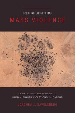 Kniha Representing Mass Violence Joachim J. Savelsberg