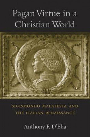 Könyv Pagan Virtue in a Christian World Anthony F. D`elia