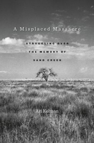 Книга Misplaced Massacre Ari Kelman