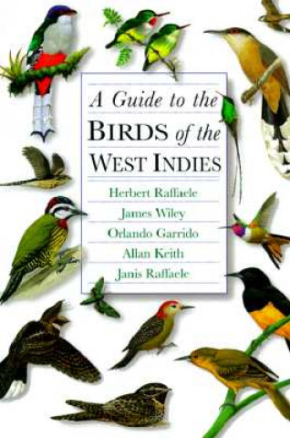 Kniha Guide to the Birds of the West Indies Janis I. Raffaele