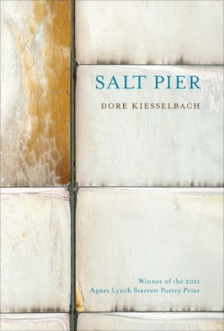 Libro Salt Pier Dore Kiesselbach