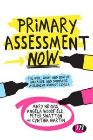 Könyv Primary Assessment Now Cynthia Martin
