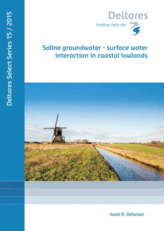 Книга SALINE GROUNDWATER SURFACE WATER INTERAC J.R. DELSMAN