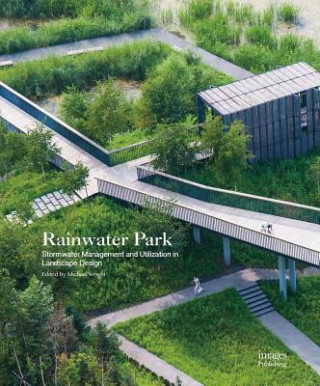 Kniha Rainwater Park Michael Wright