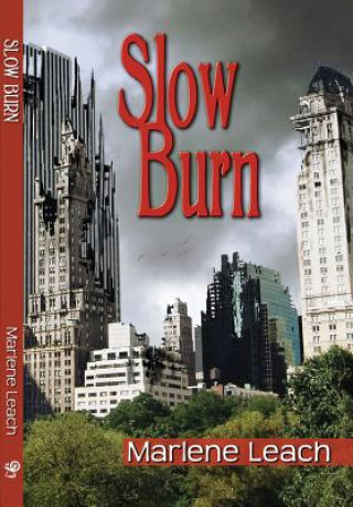 Könyv Slow Burn Marlene Leach