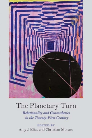 Book Planetary Turn Amy J. Elias