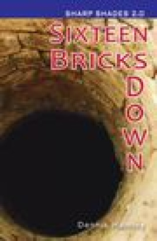 Carte Sixteen Bricks Down  (Sharp Shades) Dennis Hamley