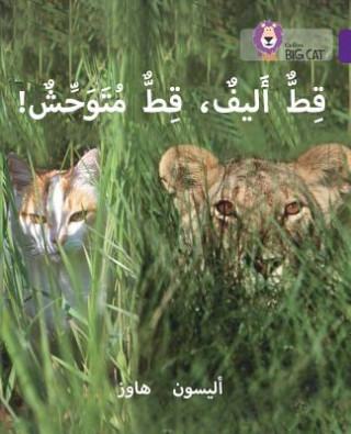 Книга Tame Cat, Wild Cat Alison Hawes