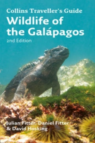 Kniha Wildlife of the Galapagos David Hosking