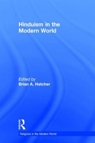 Kniha Hinduism in the Modern World 