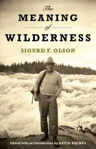 Knjiga Meaning of Wilderness Sigurd F Olson