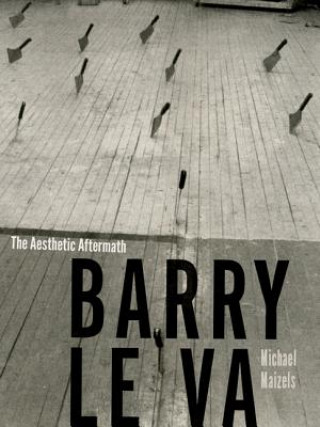 Kniha Barry Le Va Michael Maizels