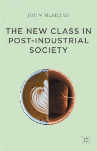 Kniha New Class in Post-Industrial Society John McAdams