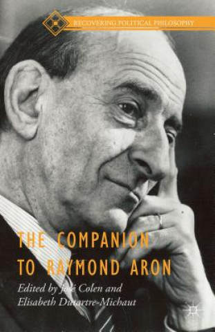 Kniha Companion to Raymond Aron Jose Colen