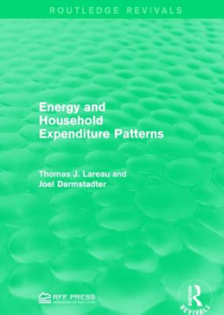 Carte Energy and Household Expenditure Patterns Joel Darmstadter