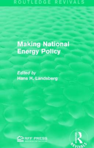 Könyv Making National Energy Policy 