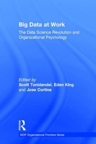 Książka Big Data at Work 