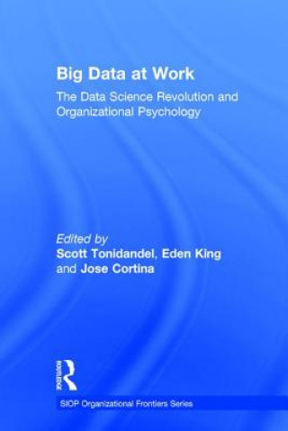 Buch Big Data at Work 