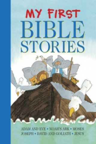 Carte My First Bible Stories Jan Lewis