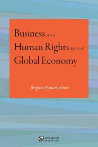 Libro Business and Human Rights in the Global Economy Brigitte Hamm