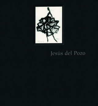 Книга JESUS DEL POZO 1946 2011 