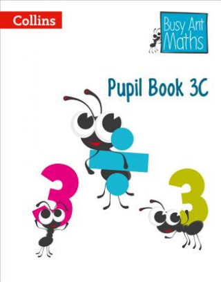 Knjiga Pupil Book 3C 