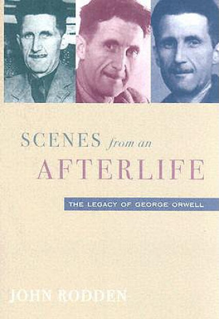 Könyv Scenes from an Afterlife John Rodden