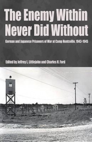 Knjiga Enemy Within Never Did Without Charles H. Ford