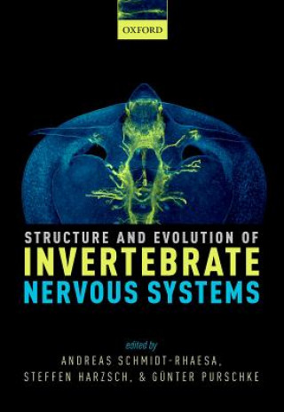 Carte Structure and Evolution of Invertebrate Nervous Systems ANDR SCHMIDT-RHAESA