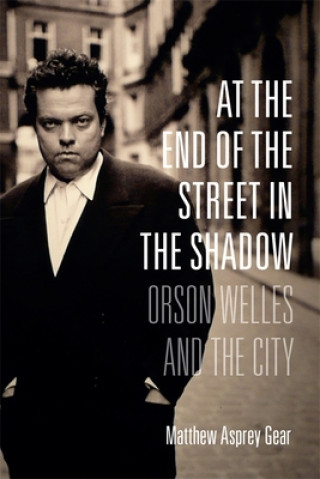 Book At the End of the Street in the Shadow Matthew Gear