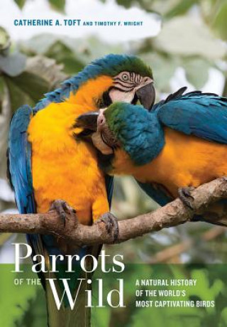Carte Parrots of the Wild Timothy F. Wright