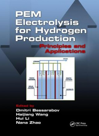 Könyv PEM Electrolysis for Hydrogen Production 