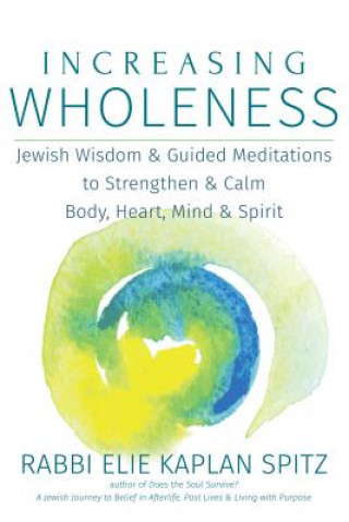 Livre Increasing Wholeness RABBI ELIE KA SPITZ