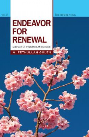 Buch Endeavor for Renewal FETHULLAH G LEN